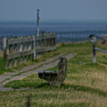 NE1 7589 DxO 01