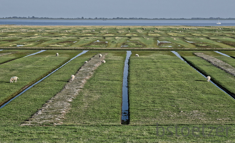 NE1 7616 DxO 01