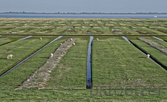 NE1 7616 DxO 01