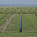 NE1 7616 DxO 01
